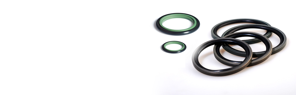 PTFE SEAL